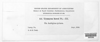 Image Associated With the Occurence